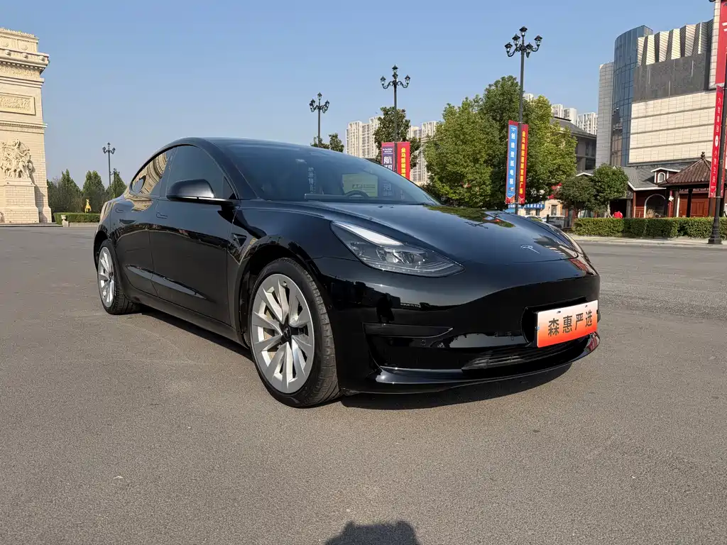 Tesla Model 3 — миниатюра 3