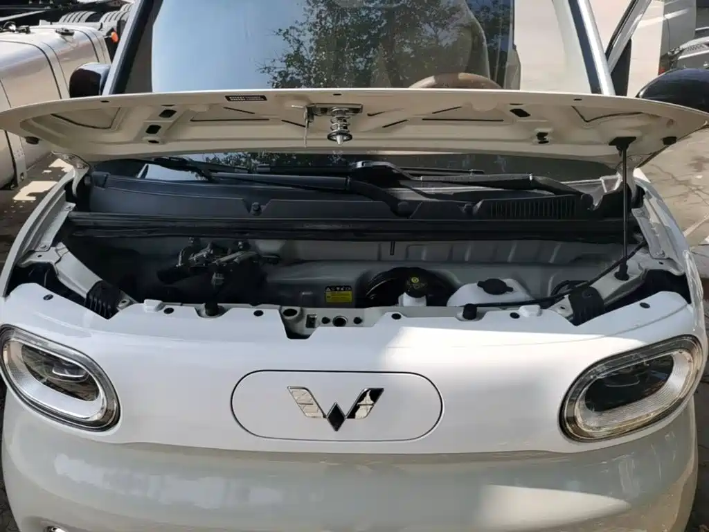 Wuling MINIEV — миниатюра 20