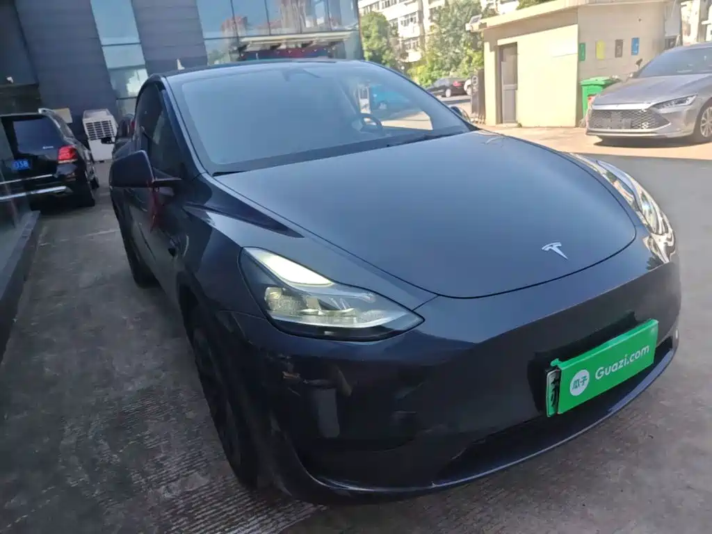 Tesla Model Y — миниатюра 4