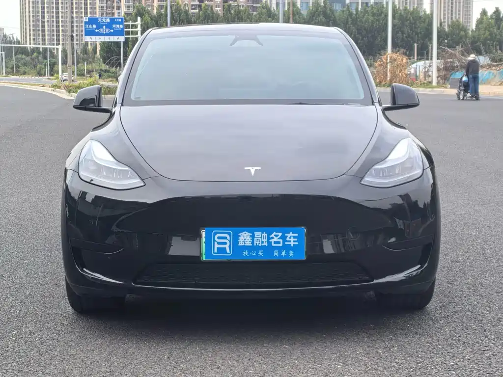 Tesla Model Y — миниатюра 4