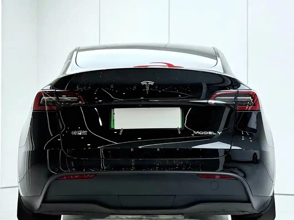 Tesla Model Y — миниатюра 3