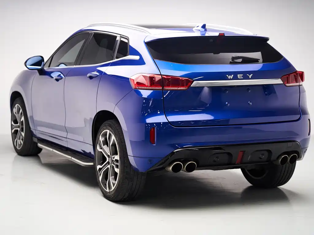 WEI PAI WEI BRAND VV7