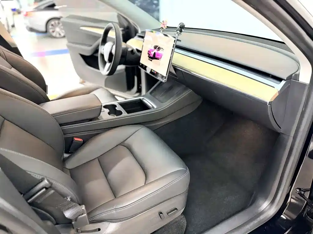 Tesla Model Y — миниатюра 11