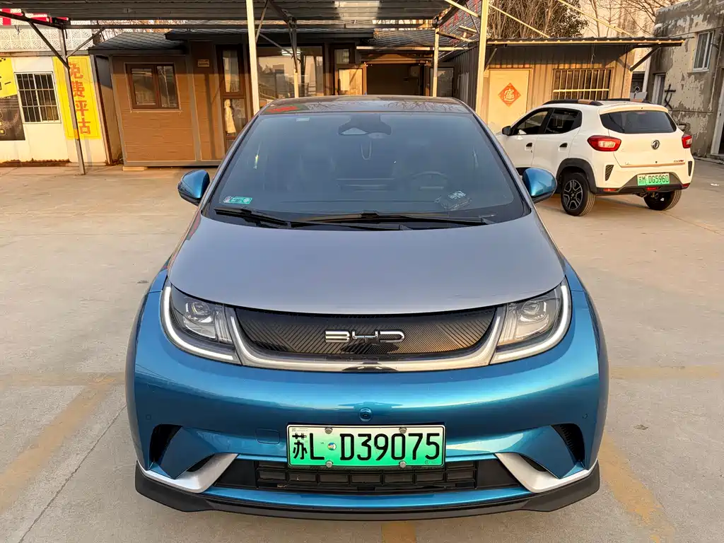 BYD DOLPHIN