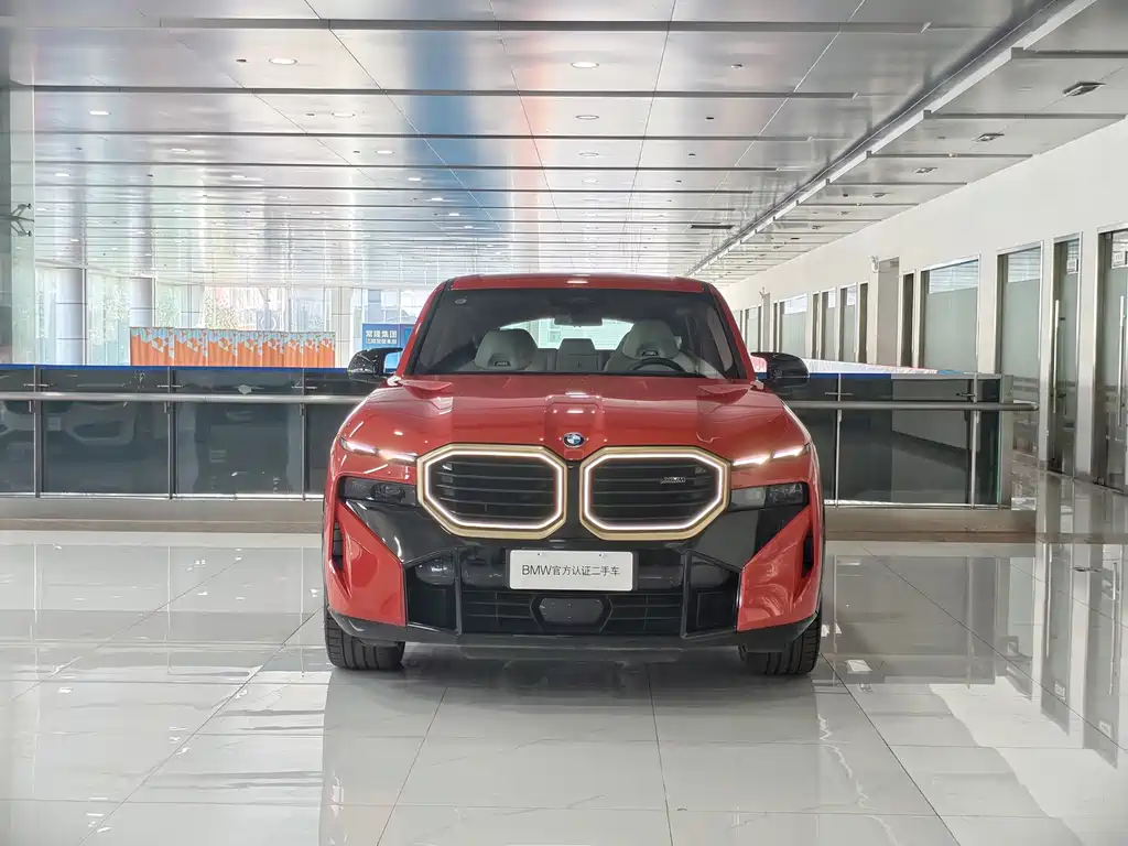 BMW XM — миниатюра 3