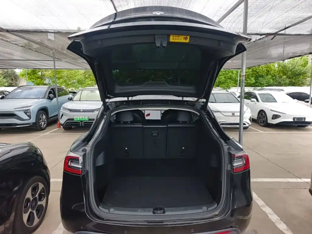 Tesla Model Y — миниатюра 19