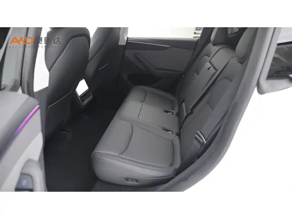 Tesla Model Y — миниатюра 7
