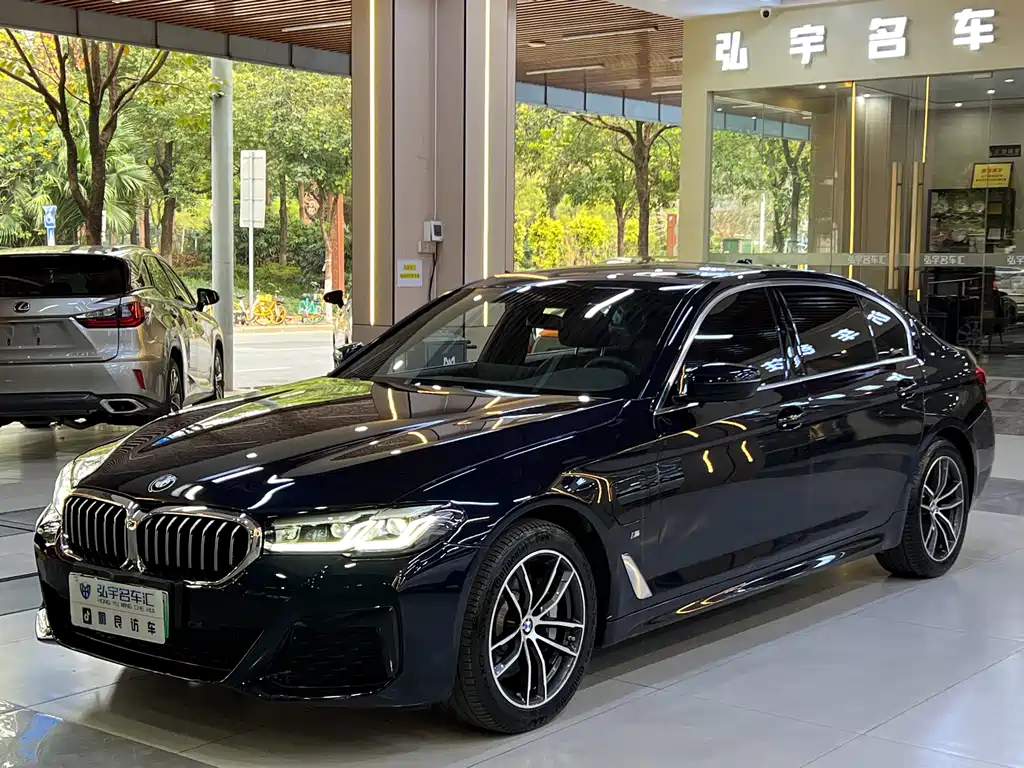 BMW 5 Series New Energy 2021