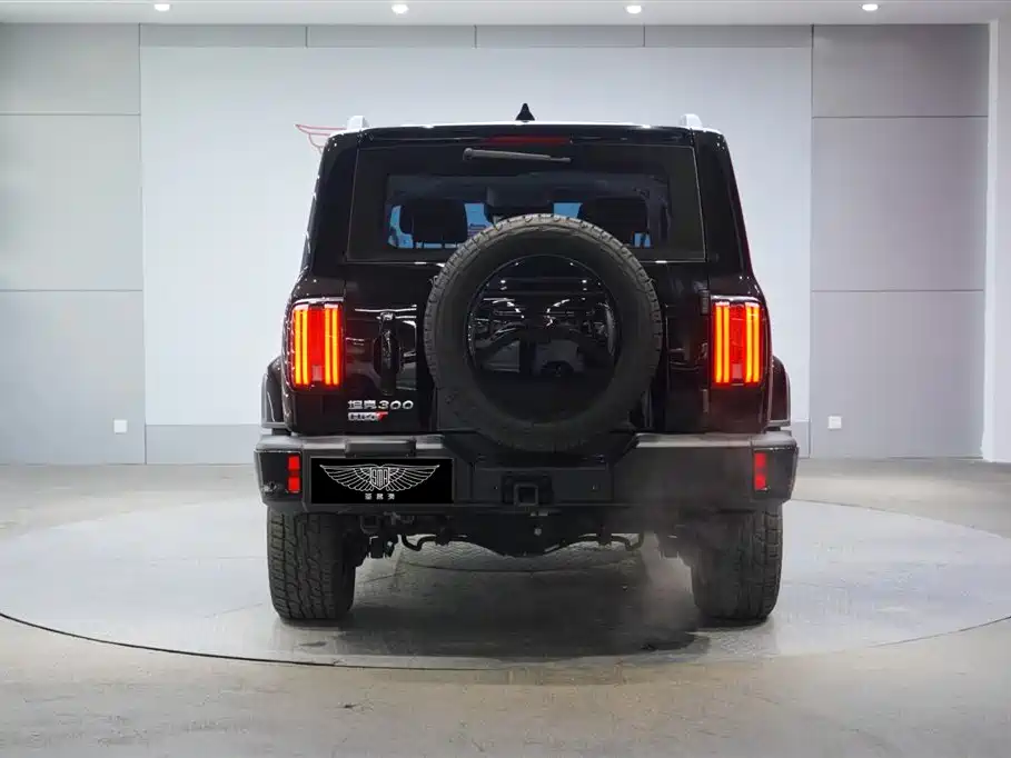 TANK TANK 300 NEW ENERGY