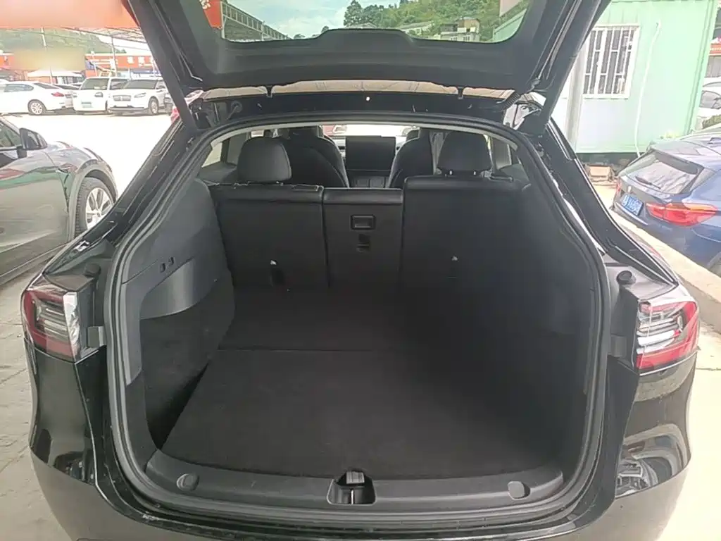 Tesla Model Y — миниатюра 19