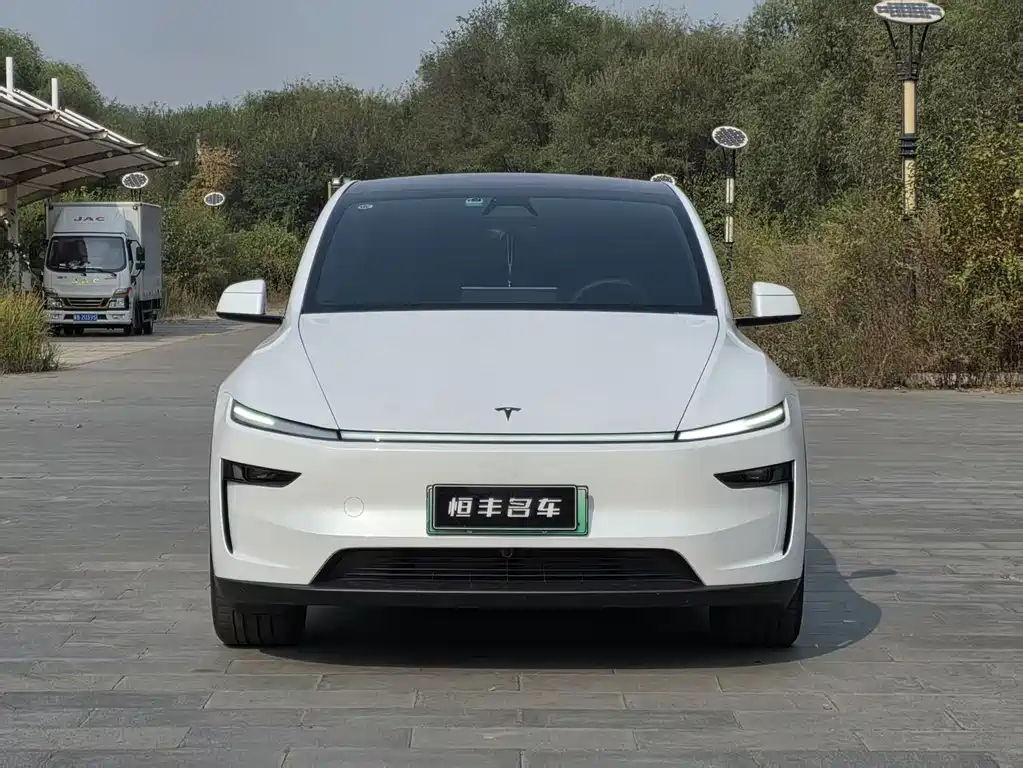 Tesla Model Y — миниатюра 2