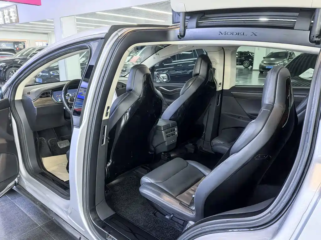 Tesla Model X — миниатюра 9