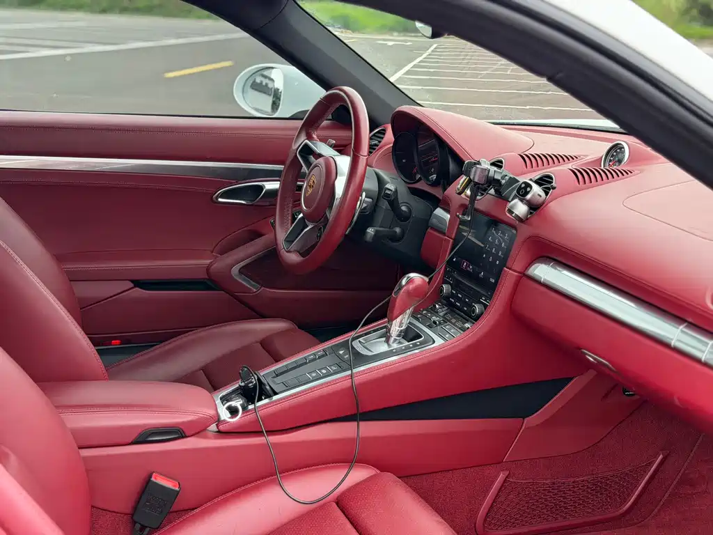 Porsche 718 — миниатюра 13