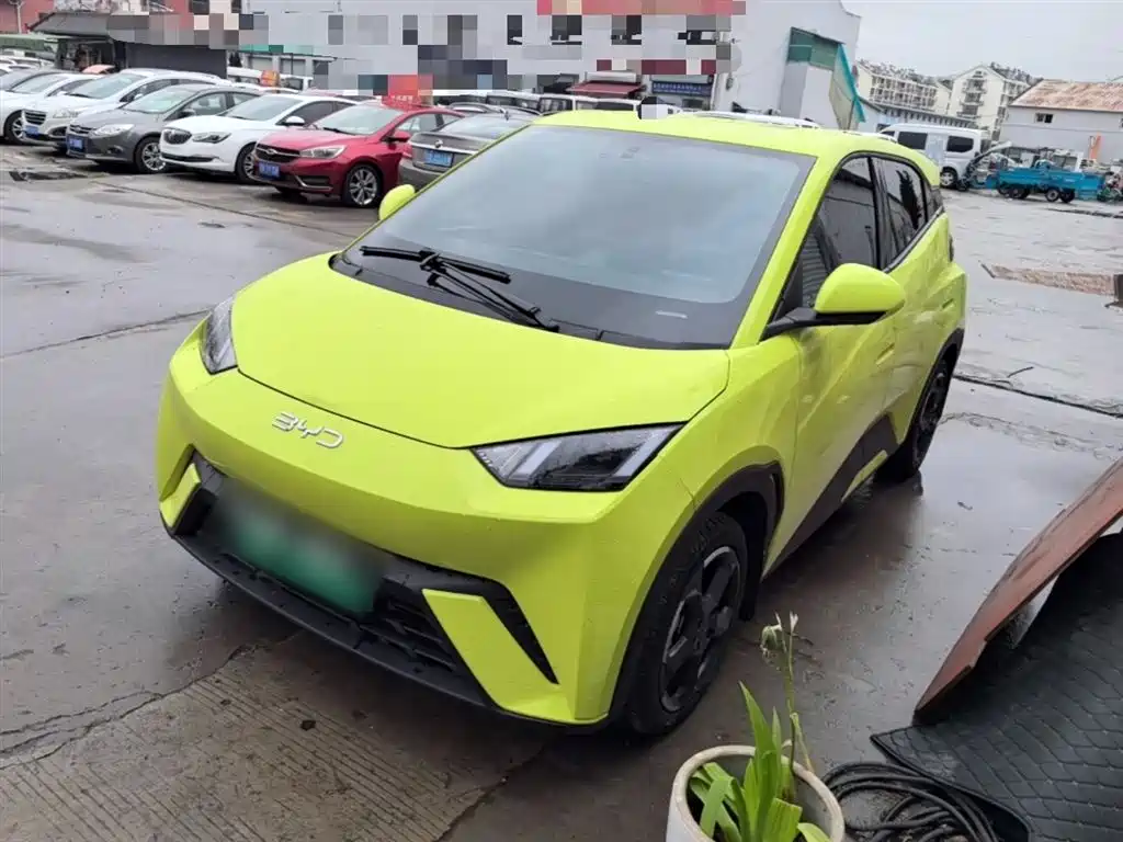 Byd Seagull 2024