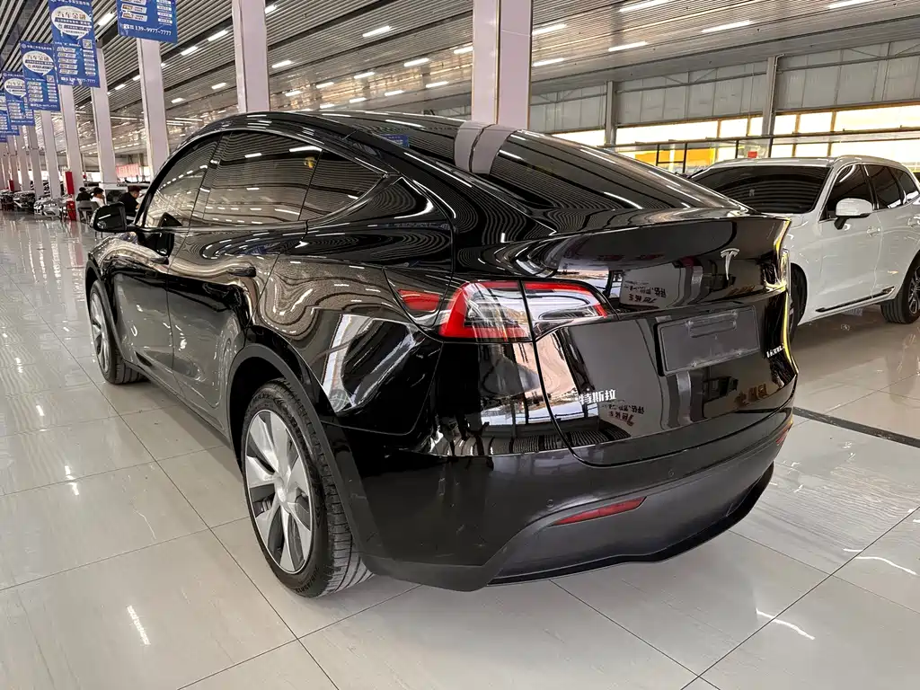 Tesla Model Y — миниатюра 4