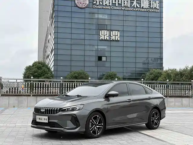 2024 Geely Binrui
