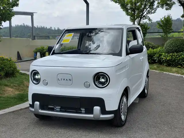 Geely