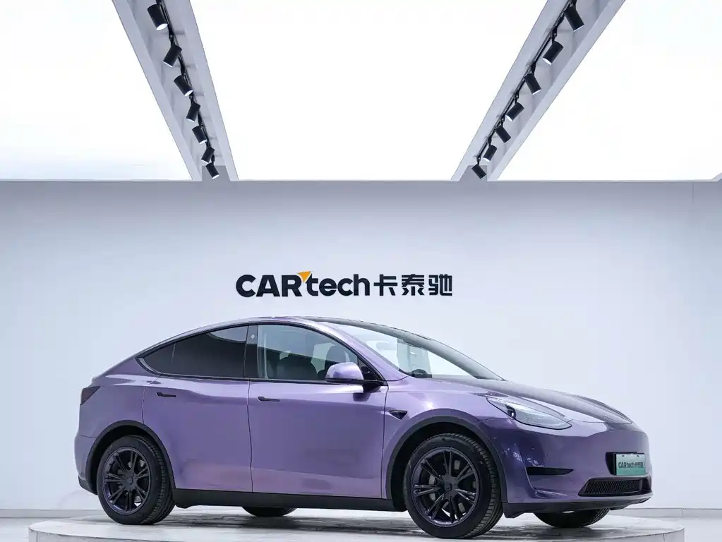 Tesla Model Y — миниатюра 2