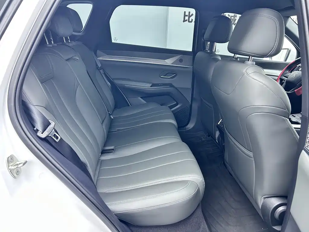 BYD Pro New Energy — миниатюра 9