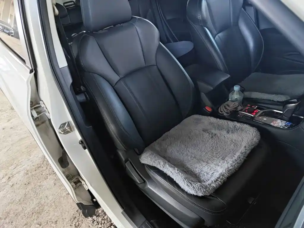 Subaru Forester — миниатюра 25