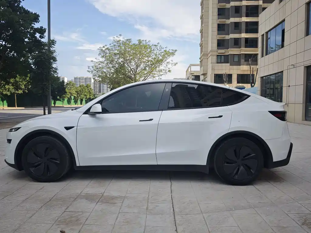 Tesla Model Y — миниатюра 9