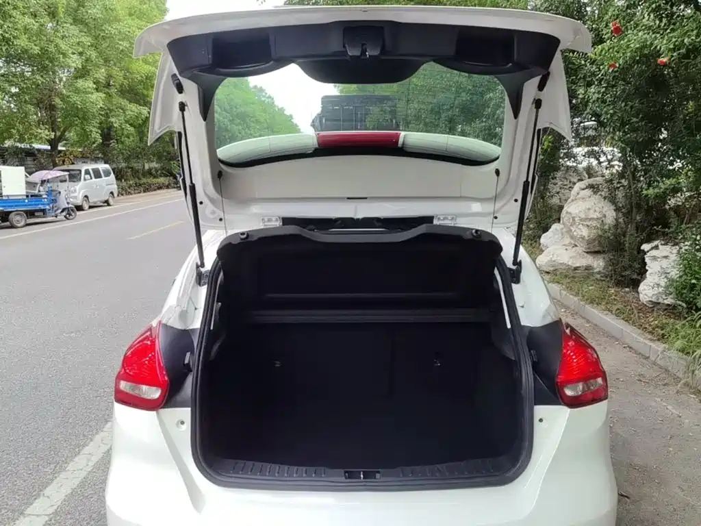 Ford Focus — миниатюра 19