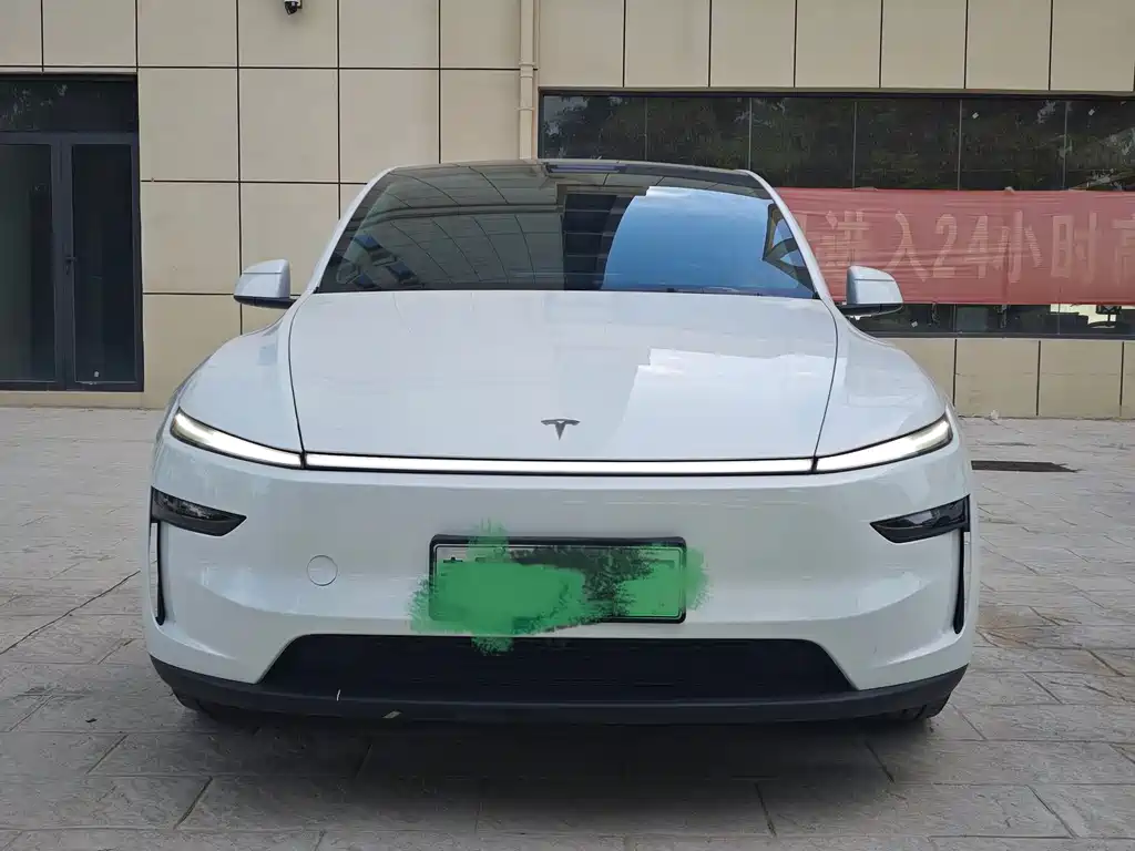 Tesla Model Y — миниатюра 2