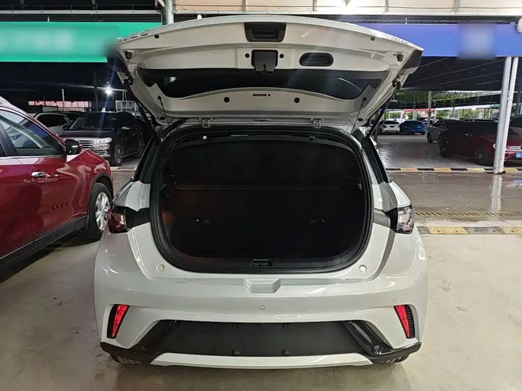 BYD Dolphin — миниатюра 19