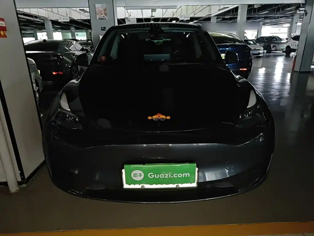 Tesla Model Y — миниатюра 3