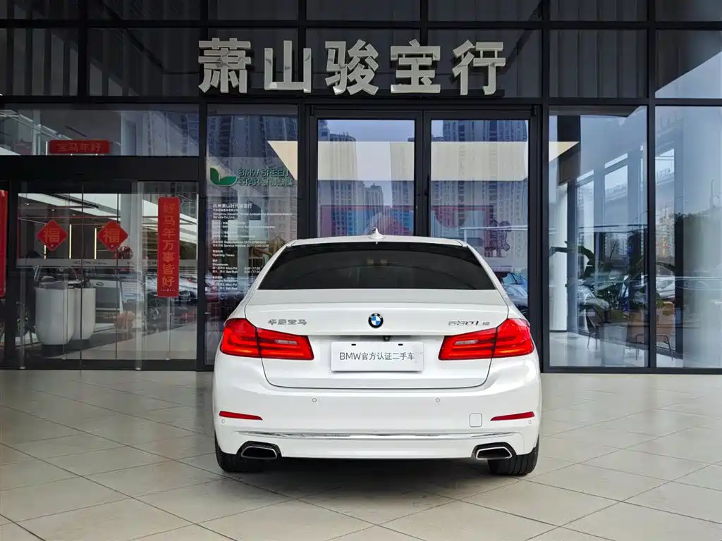 BMW 5 SERIES NEW ENERGY