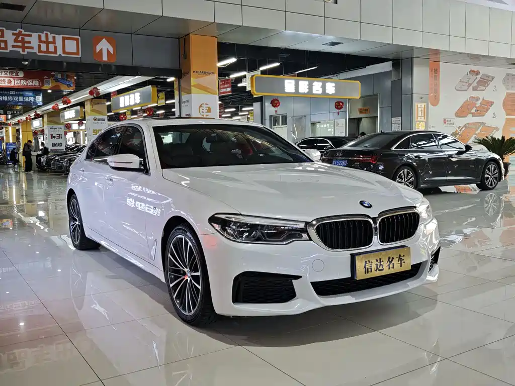 BMW 5 Series — миниатюра 3