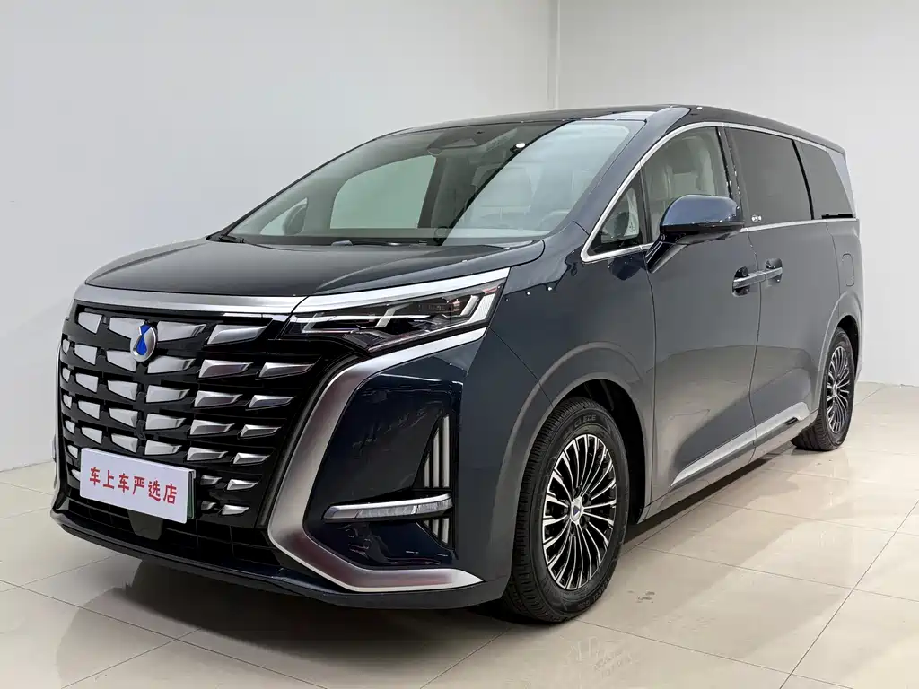Denza D9
