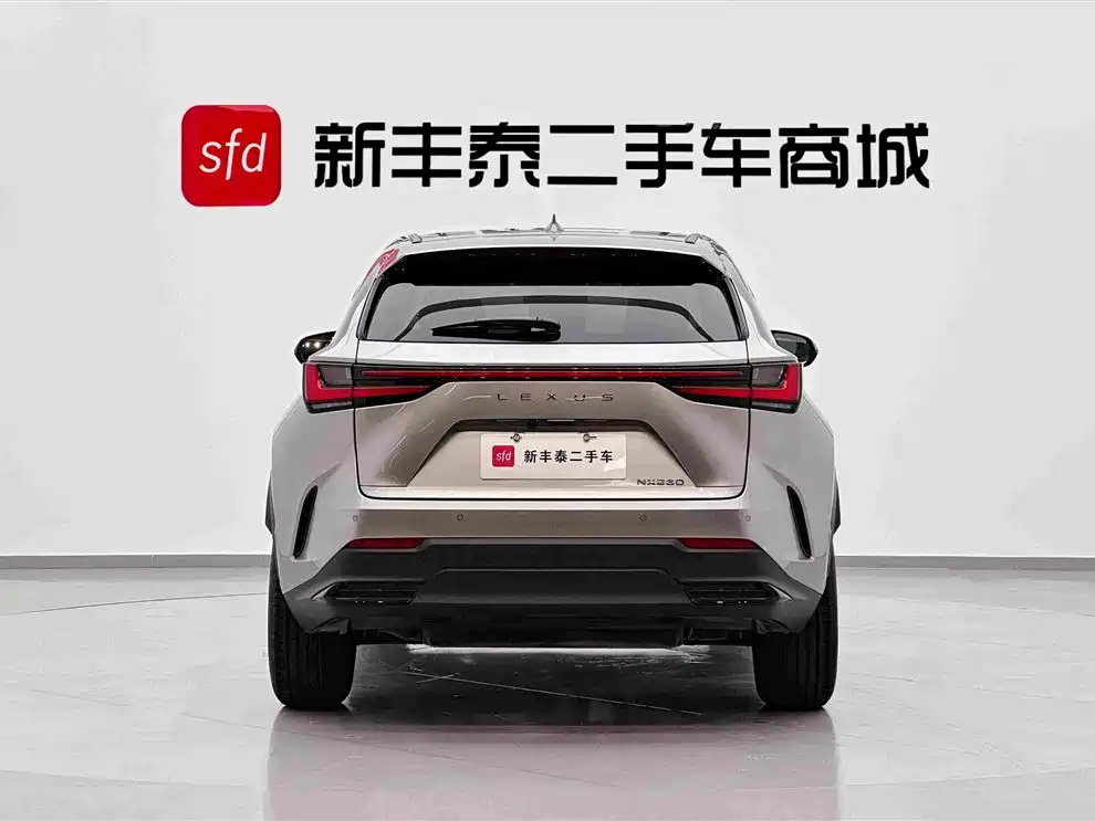 Lexus NX — миниатюра 7