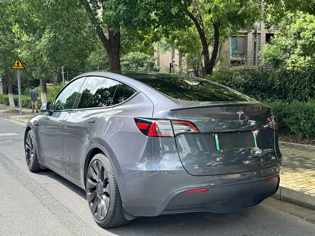 Tesla Model Y — миниатюра 4