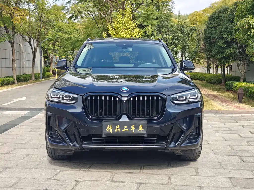 BMW X3 — миниатюра 2