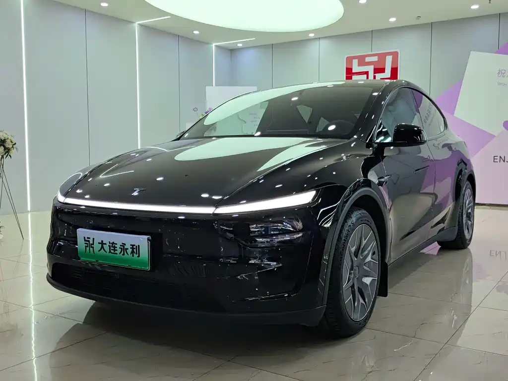 Tesla Model Y L