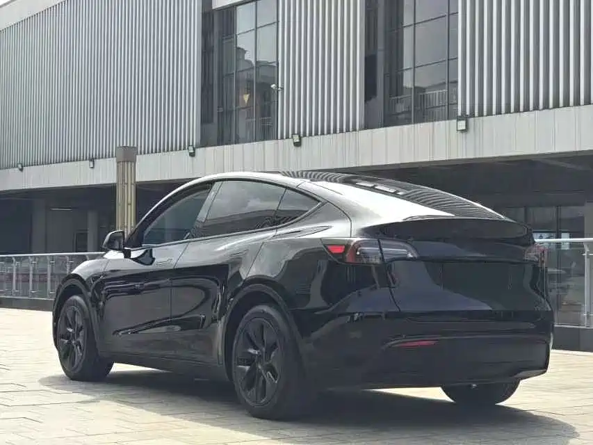 Tesla Model Y — миниатюра 7