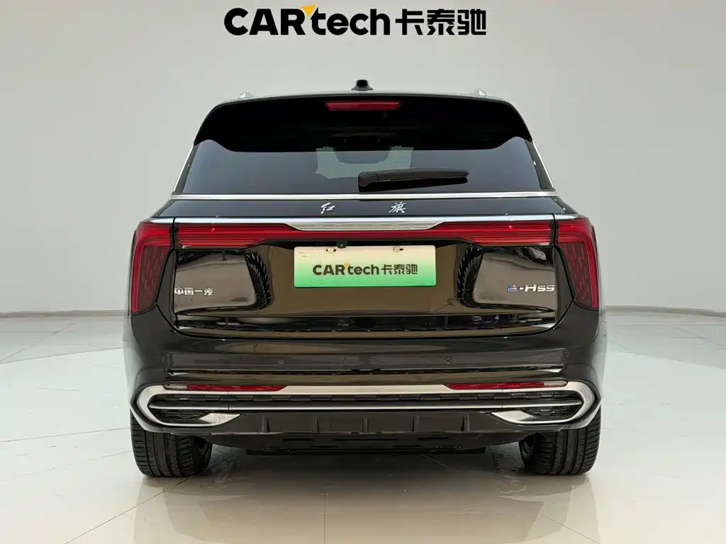 Hongqi Hongqi E-HS9 — миниатюра 9