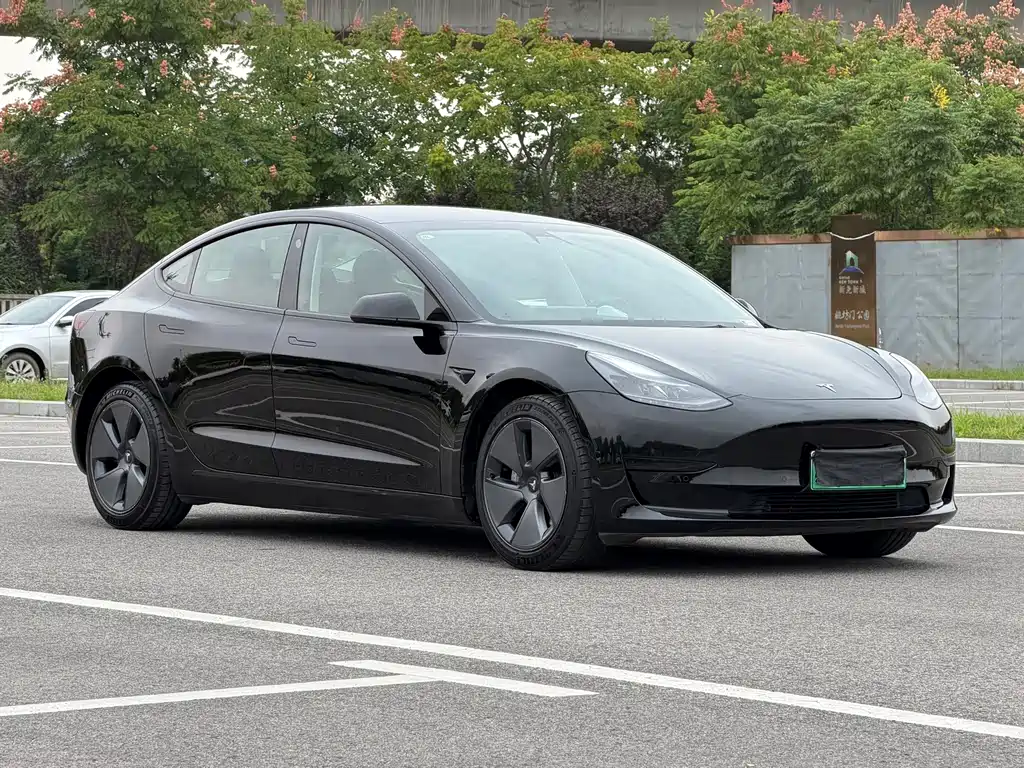 Tesla Model 3 — миниатюра 5