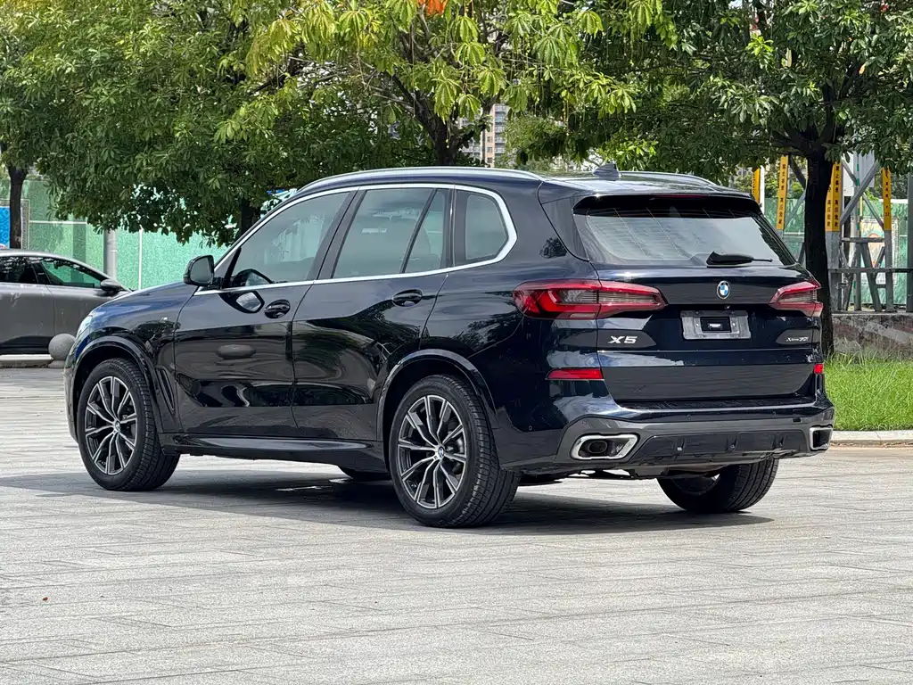 BMW X5 (Import) — миниатюра 21