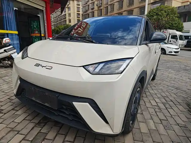 BYD SEAGULL 2023