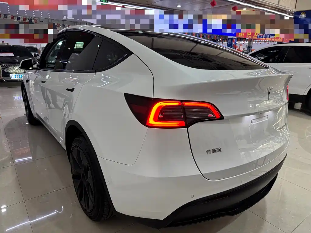 Tesla Model Y — миниатюра 7