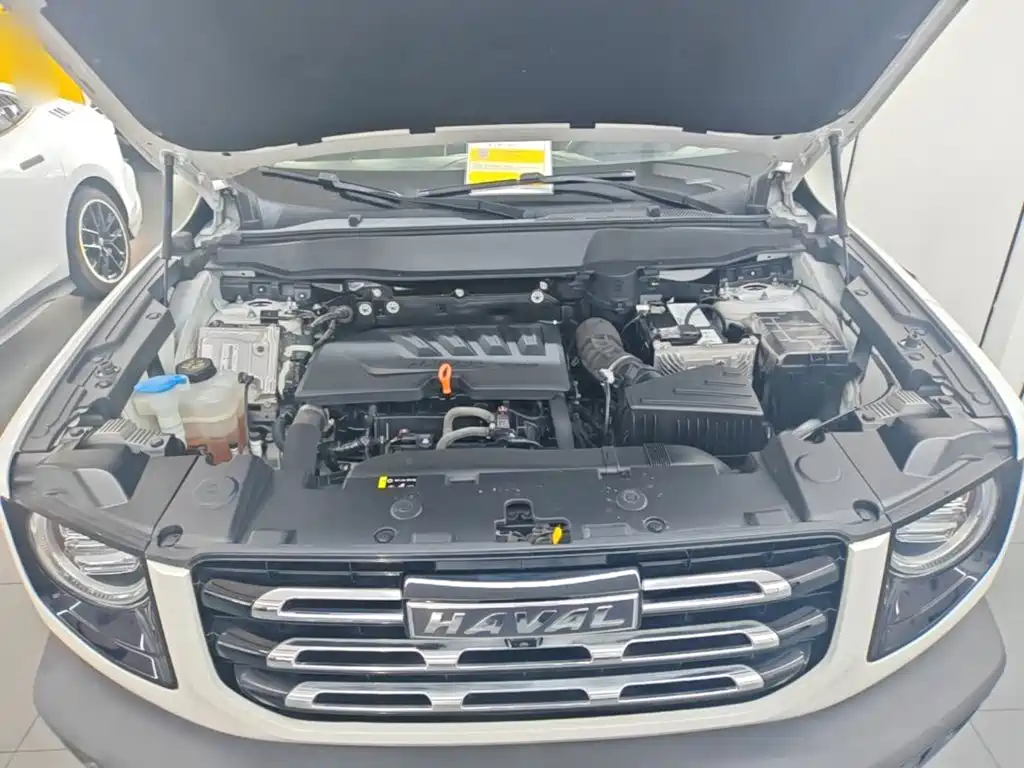 Haval Big Dog — миниатюра 20
