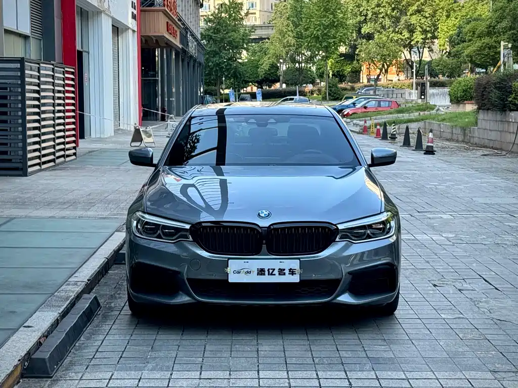 BMW 5 Series (Import) — миниатюра 2