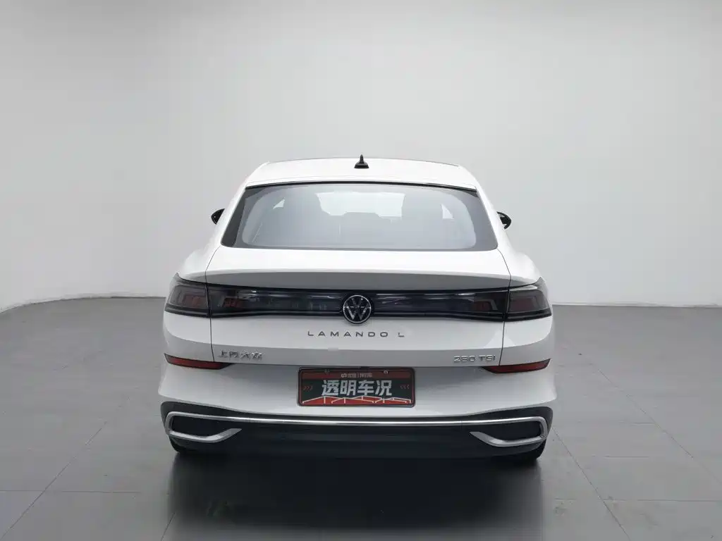 Volkswagen Lamando — миниатюра 4