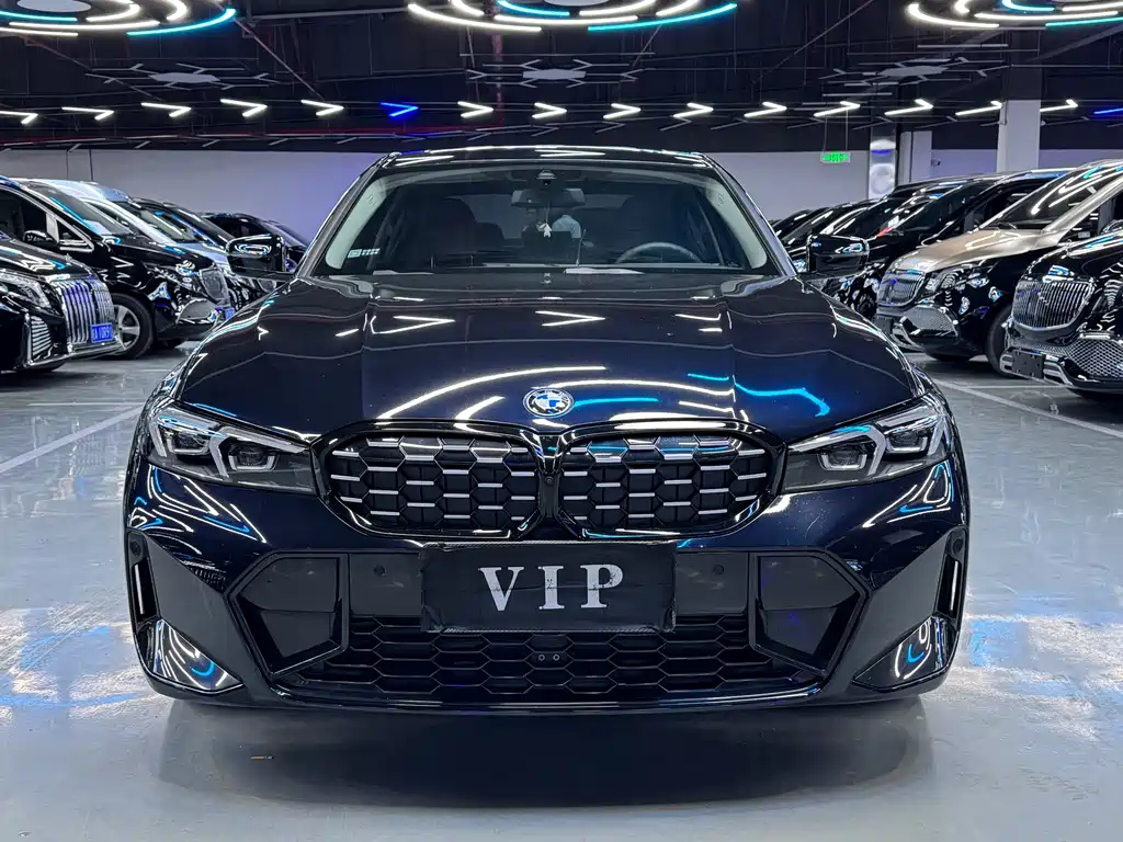 BMW 3 Series — миниатюра 2