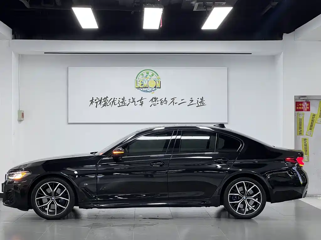 BMW 5 Series (Import) — миниатюра 5