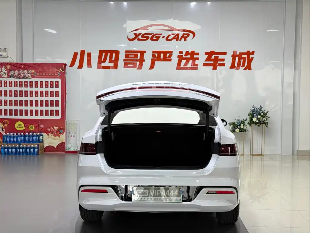 BYD Qin Plus PLUS 2024 DM-i 55KM Lead
