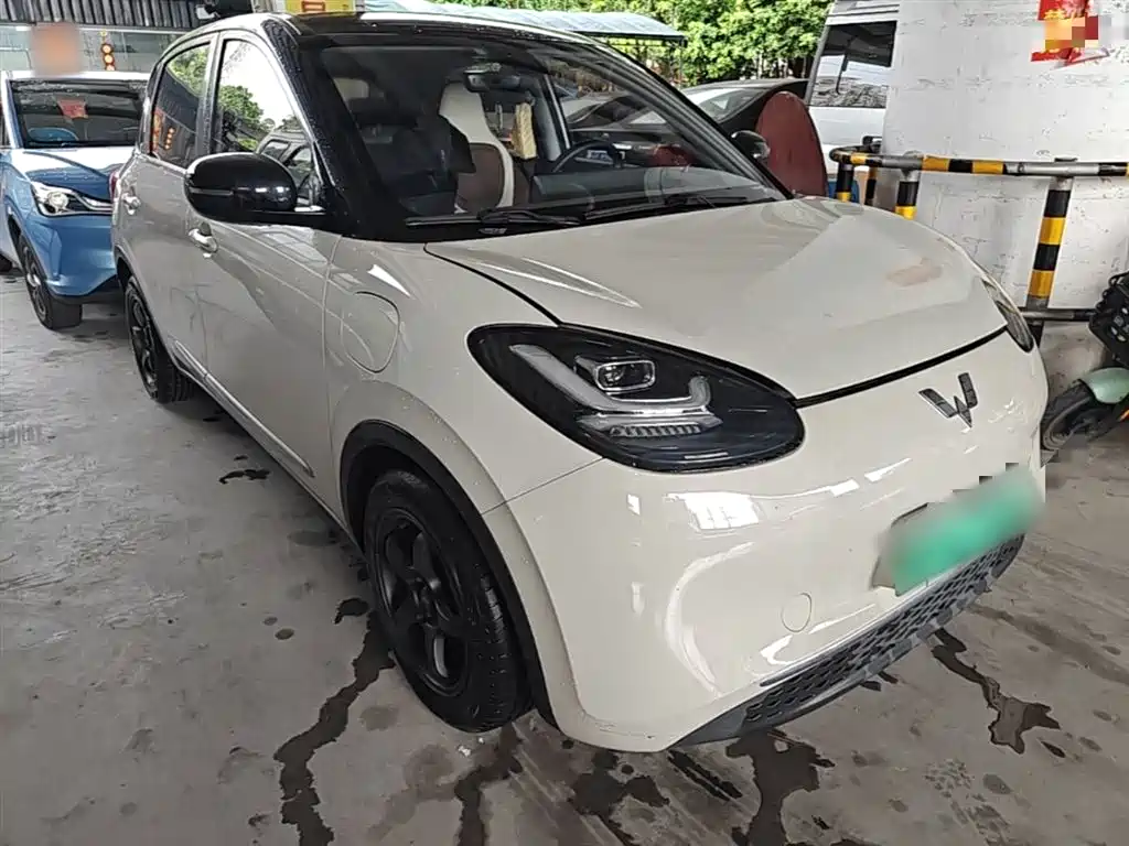 Wuling Binguo 2023 333km +