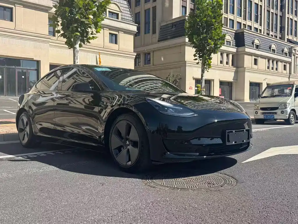 Tesla Model 3 — миниатюра 3